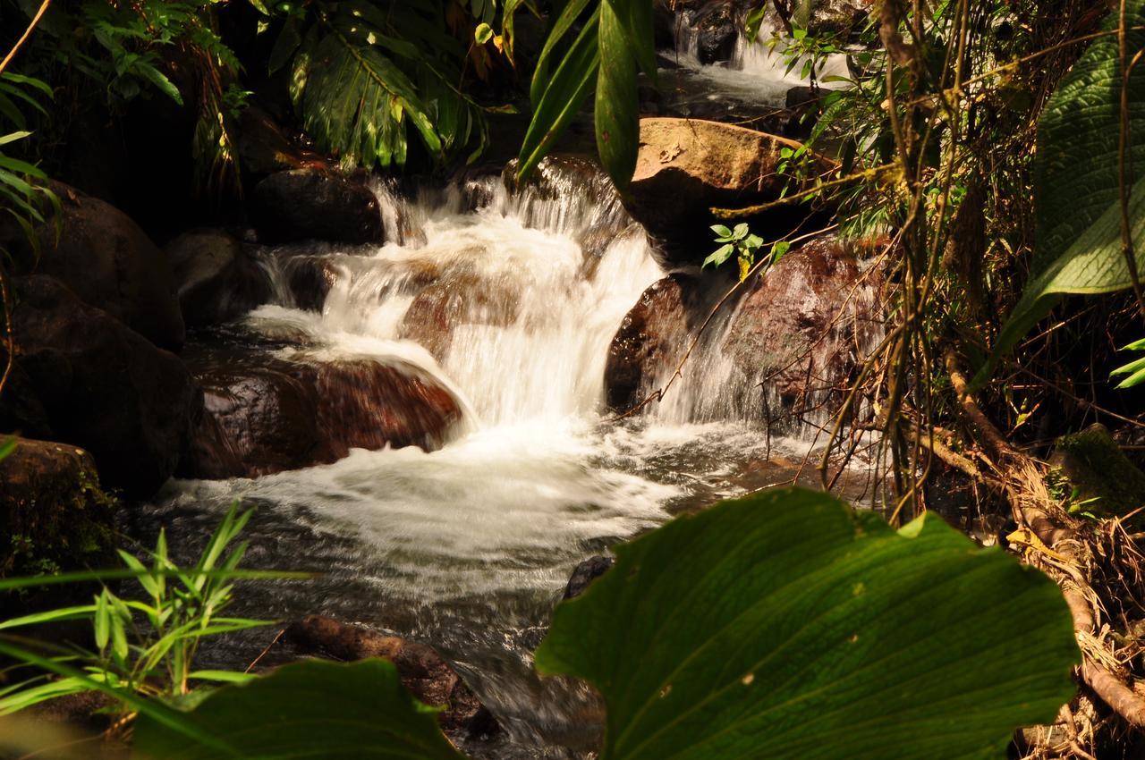 Lodge Kopal *
